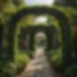 Ivy-covered trellis archway leading to garden oasis