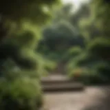Lush Greenery in Modern Landscape Design