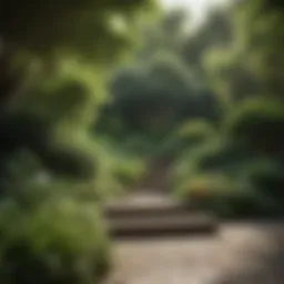 Lush Greenery in Modern Landscape Design