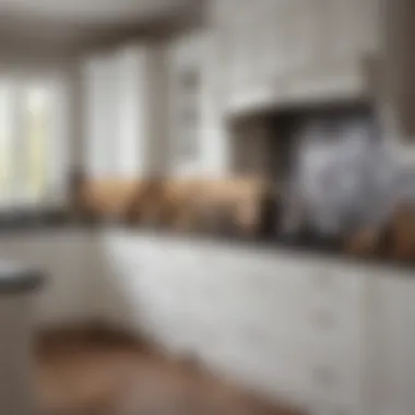 Classic white cabinet ensemble in traditional kitchen setting