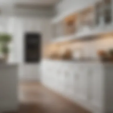 Luxurious white cabinet arrangement in upscale kitchen