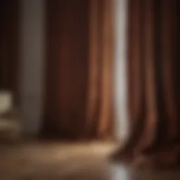 Elegant Velvet Drapes