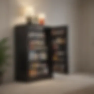 Multi-functional Hidden Storage Cabinet Idea Multi-functional Hidden Storage Cabinet Idea