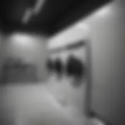 Abstract Visions in Monochrome