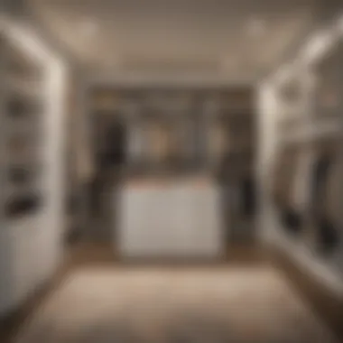 Custom Closet Storage Solutions for Elegant Living