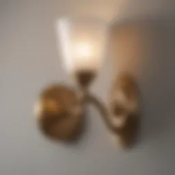 Elegant Wall Sconce Light Fixture