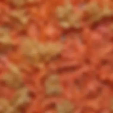 Artistic watercolor in shades of coral and gold
