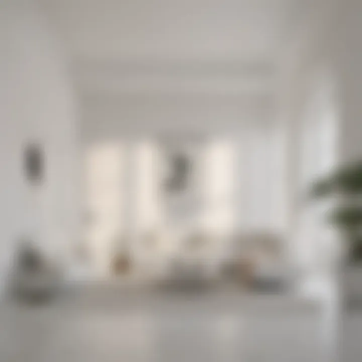 Minimalist White Interior Design