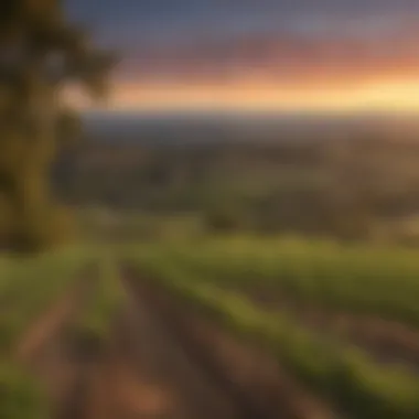 Breathtaking panoramic view of Napa Valley at sunset