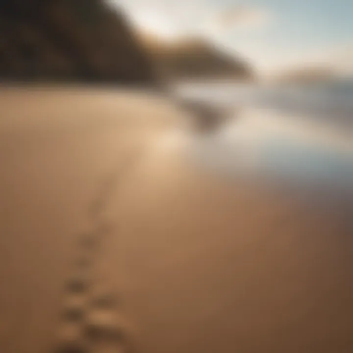 Golden sand beach with no footprints