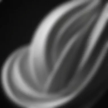 Sculptural Forms in Monochrome Artistry