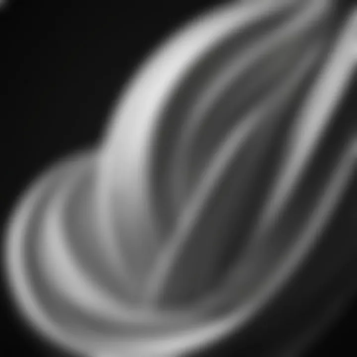 Sculptural Forms in Monochrome Artistry