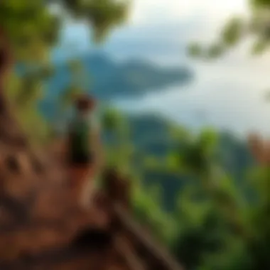 Adventurous hiking trail with scenic views of lush landscapes