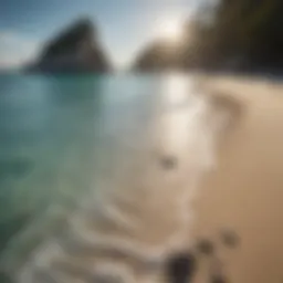 Crystal clear waters of a secluded beach