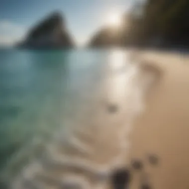 Secluded Beach with Crystal Clear Waters Crystal clear waters of a secluded beach