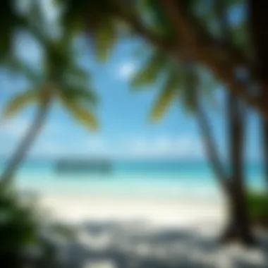 Exploring Florida's Best Hidden Beaches Introduction Exploring Florida's Best Hidden Beaches Introduction