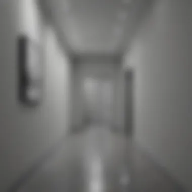 Minimalist monochromatic hallway painting