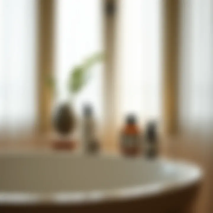 Relaxing bathroom setting featuring Le Labo products