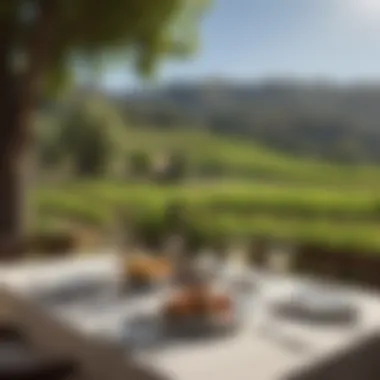 Scenic Napa Valley Lunch Setting A picturesque view of Napa Valley during lunch hour