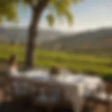 A stunning vineyard landscape with a luxurious dining setup