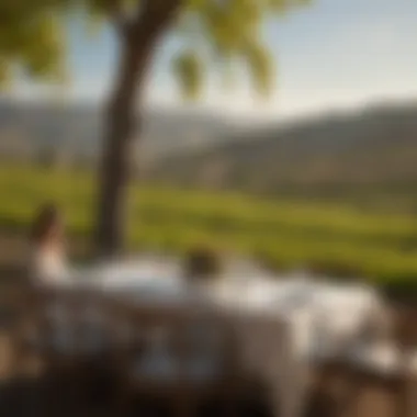A stunning vineyard landscape with a luxurious dining setup