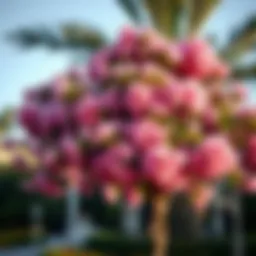 Elegant flowering tree showcasing vibrant blooms in a luxurious garden setting