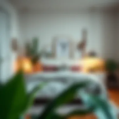 A personalized modern bedroom adorned with unique decor pieces and plants