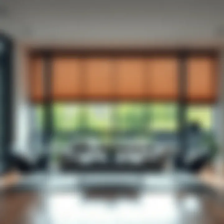 Notable Exploring Modern Shades for Large Windows