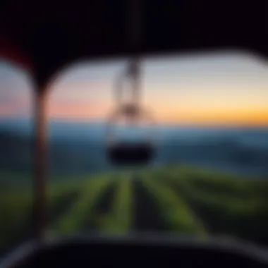 Gondola overlooking vineyards at sunset