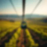 Scenic view of Napa Valley vineyards from a gondola ride