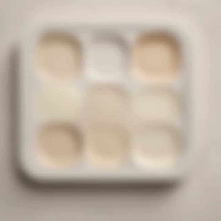 Color palette featuring off white cream paint with complementary shades