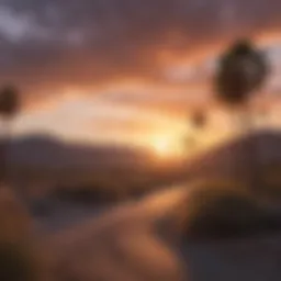 Stunning desert landscape of Palm Springs during sunset