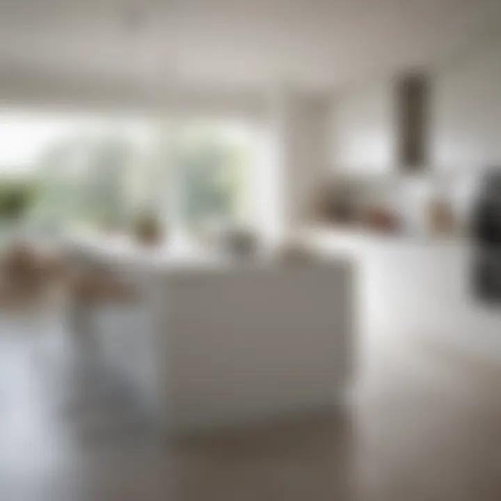 An airy kitchen painted in crisp white, emphasizing space and modernity.
