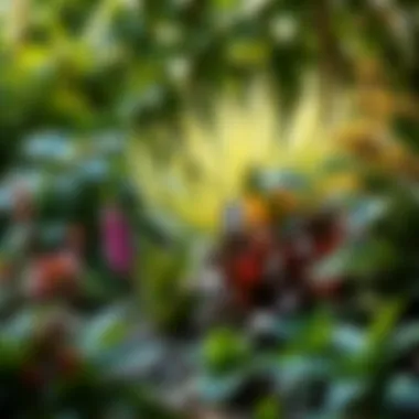 Artfully arranged shaded landscape with diverse plants