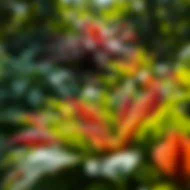 Elegant hostas showcasing vibrant foliage