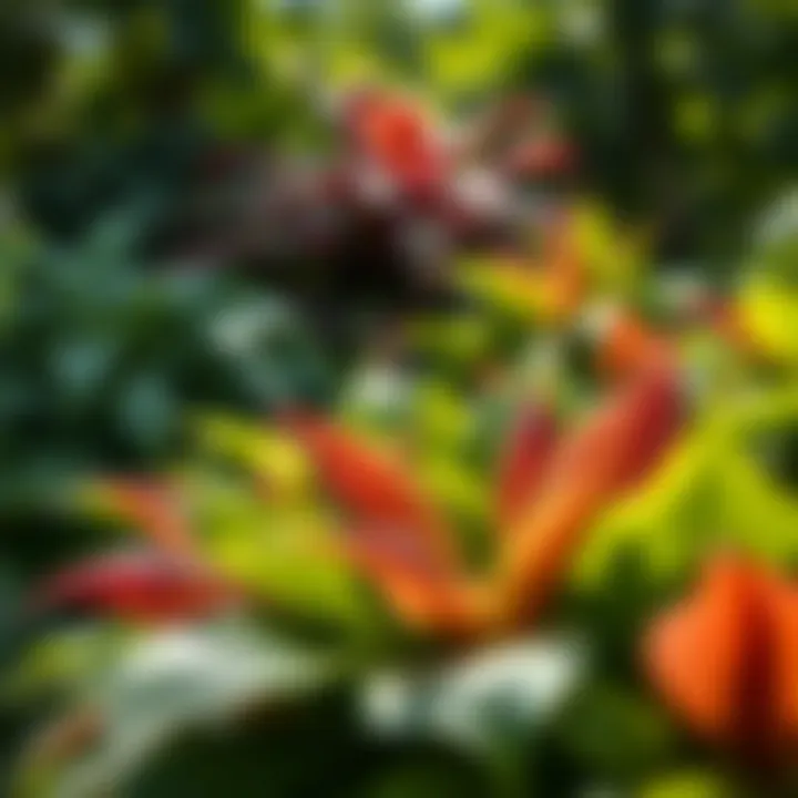 Elegant hostas showcasing vibrant foliage