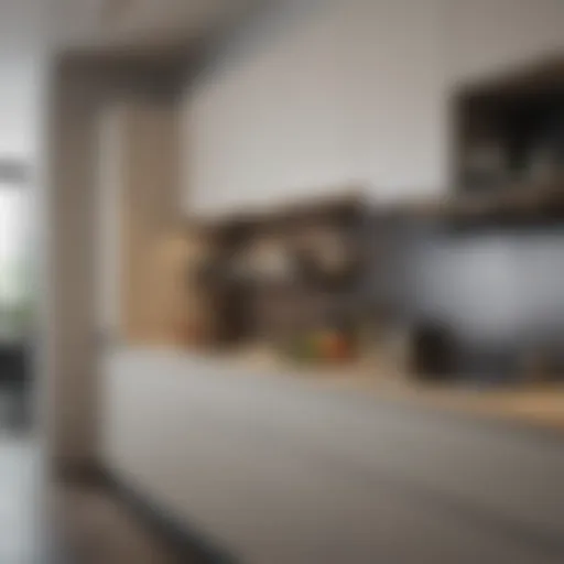 Minimalistic kitchen featuring sleek cabinetry and open shelving