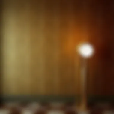 The Opulence of Velvet in 1920s Interiors Luxurious velvet wallpaper texture reminiscent of the 1920s