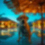 Luxurious dog-friendly resort setting