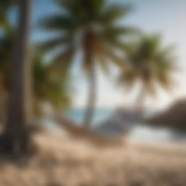 Relaxing hammock strung between palm trees by the beach