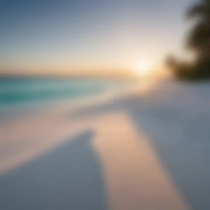 Serene beach with white sand and clear blue skies on a Maldivian island.