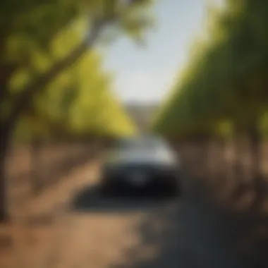 Exploring the Best Vineyards in Napa Valley: A Luxurious Infotainment Journey Introduction