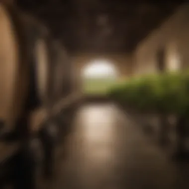 Notable Exploring the Best Winery in Paso Robles, CA Notable Exploring the Best Winery in Paso Robles, CA