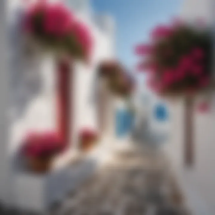 Charming streets of Mykonos with vibrant bougainvillea