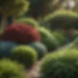 A lush garden showcasing various shade bushes
