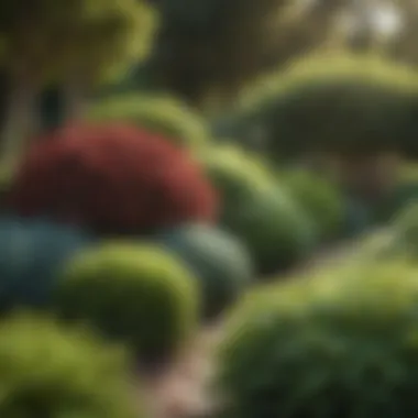 A lush garden showcasing various shade bushes