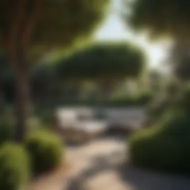 Tranquil Outdoor Area with Shade Bushes A serene outdoor space with seating surrounded by shade bushes