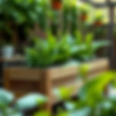 Eco-Friendly Wooden Planter Sustainable wooden planter filled with lush greenery