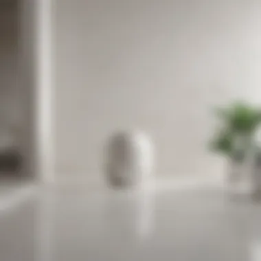 Minimalist Room Decor with Dirty White Color Paint Accents
