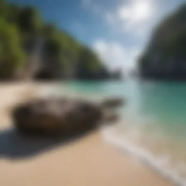 Hidden Gem of the Caribbean Coastline Secluded beach with charming rocky formations and clear skies